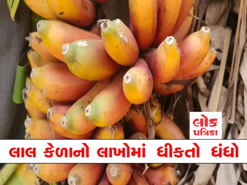 red banana