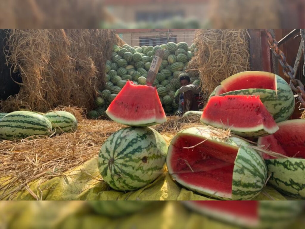 watermelon