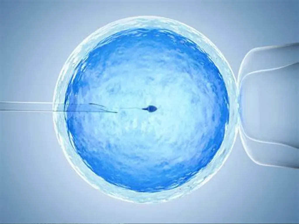 sperm