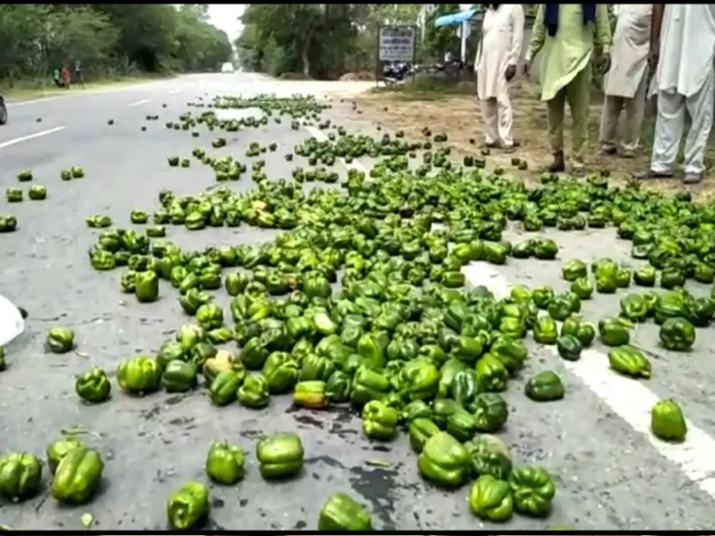 punjab