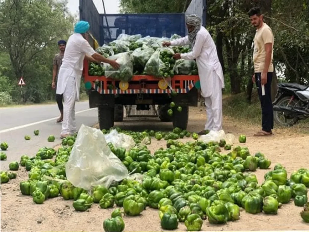 punjab
