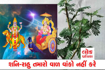 Shani Rahu
