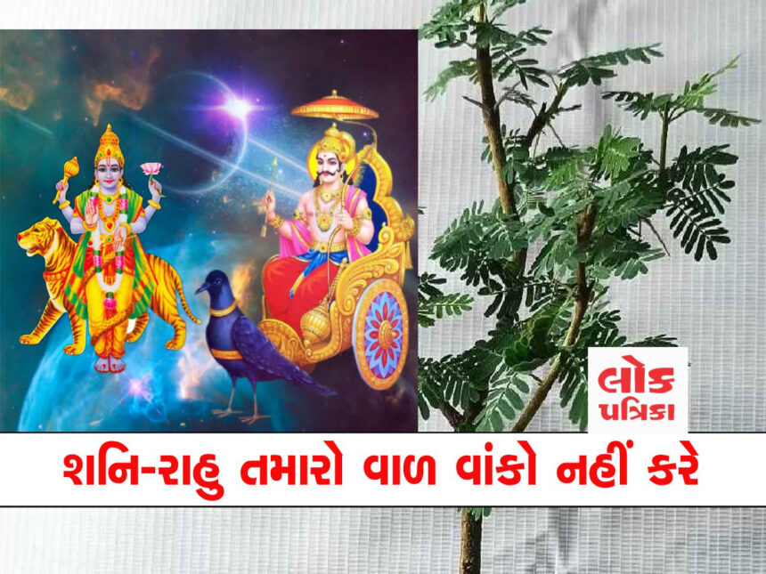 Shani Rahu
