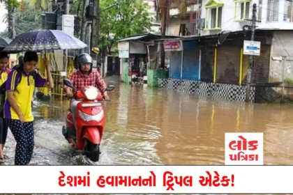 delhi