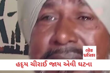 હદૃય ચીરાઈ જાય એવી ઘટના