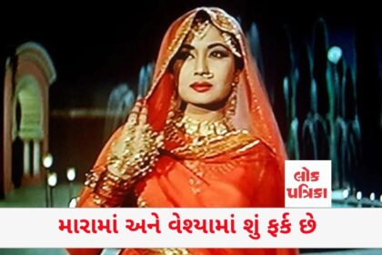 મારામાં અને વેશ્યામાં શું ફર્ક છે