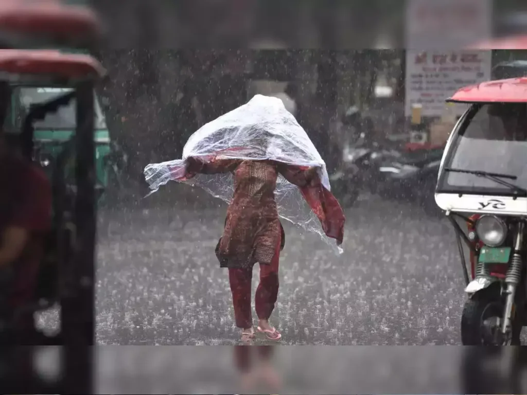 delhi