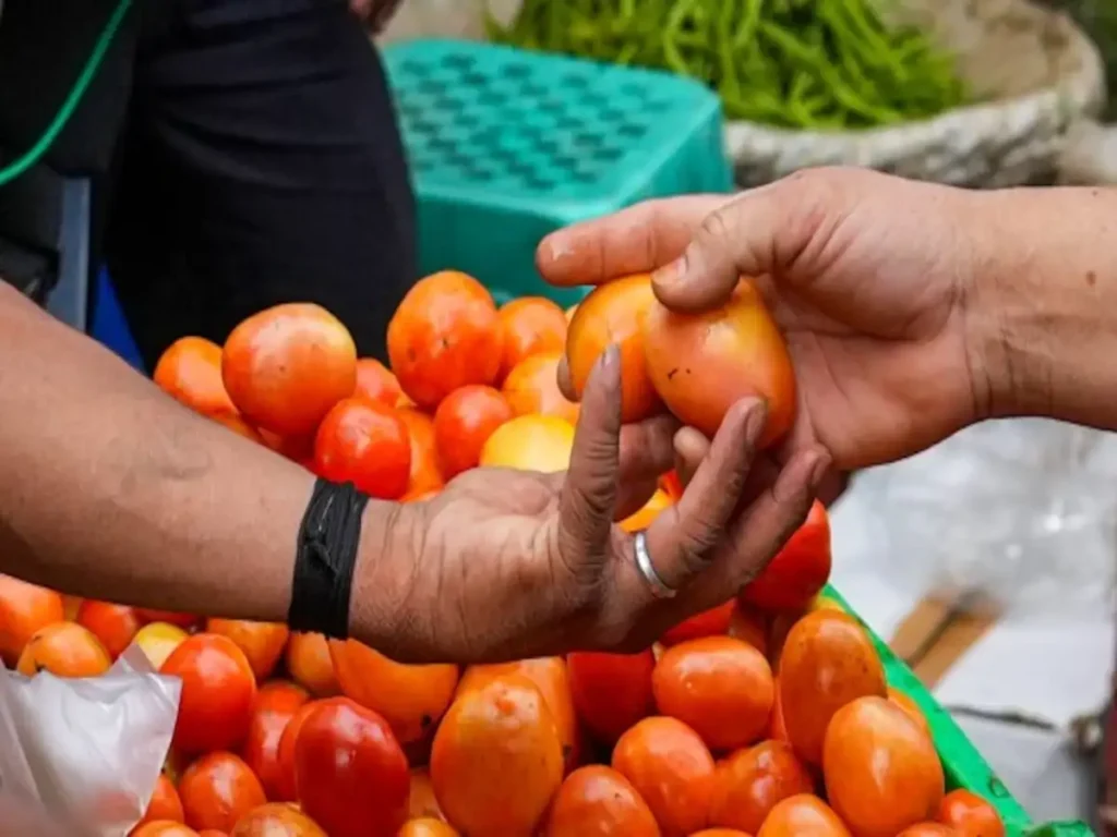 tomato