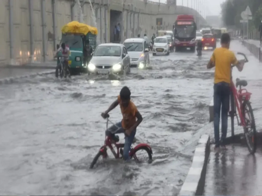 delhi