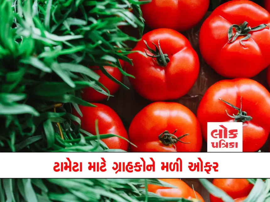tomato