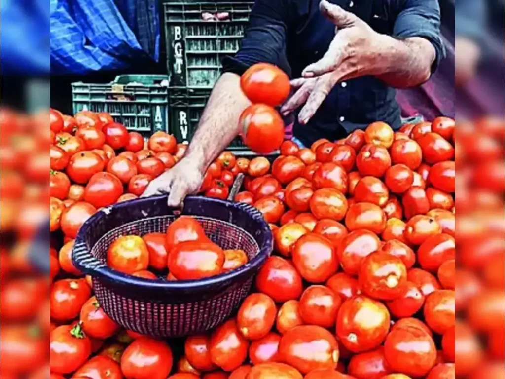 tomato