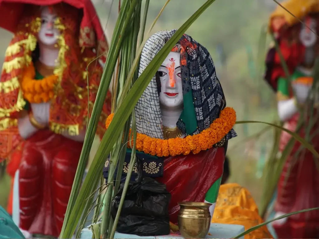 hariyali