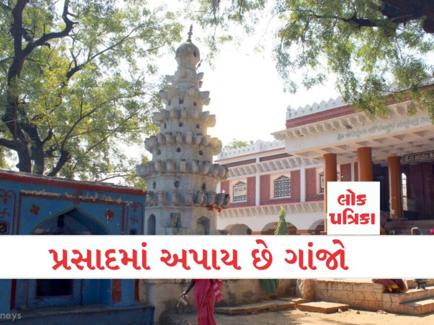 પ્રસાદમાં અપાય છે ગાંજો