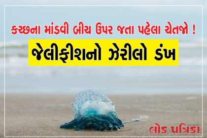 Big Braking Lok Patrika