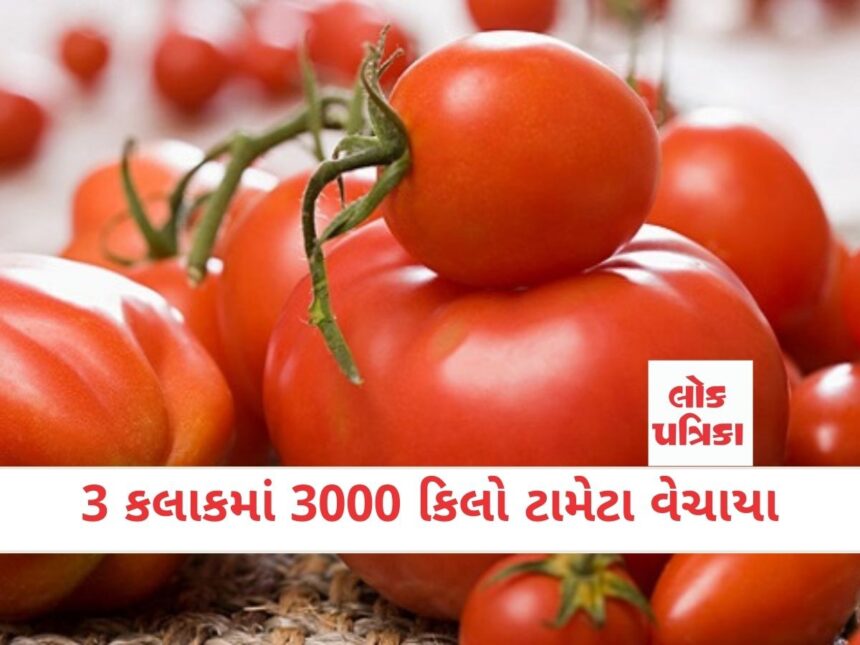 3 કલાકમાં 3000 કિલો ટામેટા વેચાયા