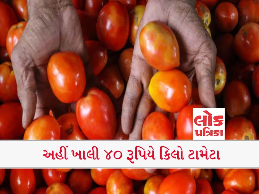 Top News: Tomato Price #Lokpatrika