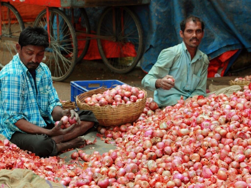 સરકાર ઓનલાઇન ડુંગળી વેચશે