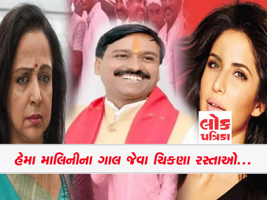 અભિનેત્રી હેમા માલિની પર ટિપ્પણી કરીને હદ વટાવી: Lokpatrika