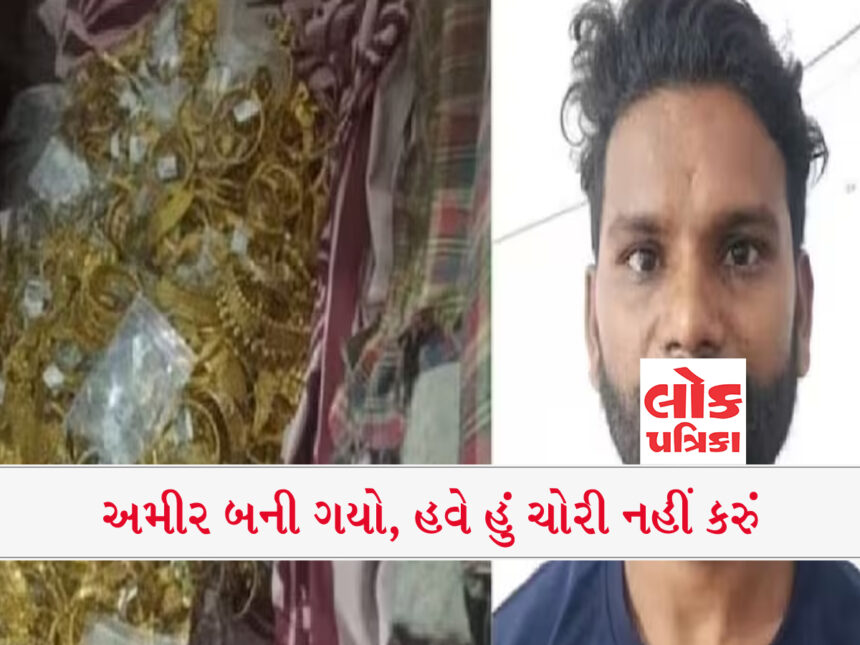 25 કરોડ રૂપિયાના દાગીનાની ચોરી, Delhi, lokpatrika