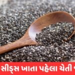 Health Tips: આ વસ્તુઓનું કરો સેવન, નહીં લાગે તમને ક્યારેય થાક 3 - Lok Patrika Chia seeds આ લોકો માટે બની શકે છે હાનિકારક, થઇ જજો સાવધાન