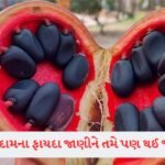 વિદેશમાં આ વસ્તુઓ પર છે પ્રતિબંધ પણ ભારતમાં ધૂમ વેચાય છે! જાણો સ્વાસ્થ્ય પર શું થાય છે અસર 3 - Lok Patrika Health Tips: જંગલી બદામનો ઉપયોગ કેવી રીતે કરવો? જાણો યોગ્ય રીત