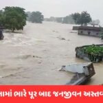 પટનામાં પૂરથી હાહાકાર! 1500 પરિવાર બેઘર થઈ રસ્તા પર રહેલા મજબૂર