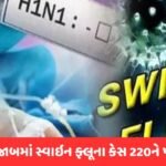 Punjabમાં સ્વાઇન ફ્લૂથી હાહાકાર… 85 વર્ષના વૃદ્ધનું શંકાસ્પદ મોત થતા મચ્યો ખળભળાટ