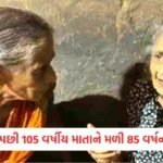 માદા સાથીની શોધમાં 4000 કિલોમીટરનો પ્રવાસ કરે છે આ જંગલી કૂતરા, સંશોધનમાં થયો ચોંકાવનારો ખુલાસો 3 - Lok Patrika 20 વર્ષનો વિયોગ, જંગલનો વિકટ રસ્તો અને અડગ પ્રેમ; કર્ણાટકમાં 105 વર્ષીય માતાને મળી 85 વર્ષની દીકરી
