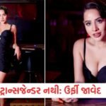 "27 વખત કપડાં ઉતરાવાયા, પ્રાઈવેટ પાર્ટ્સ ચેક થયા", તિહાડ જેલના દર્દનાક દિવસો યાદ કરી રડી પડી અભિનેત્રી 8 - Lok Patrika ઉર્ફી જાવેદને લઈ ફેલાઈ મસમોટી અફવાહ, અભિનેત્રીએ ટ્રોલ્સને આપ્યો જડબાતોડ જવાબ, “હું કિન્નર નથી”