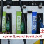 'ક્રિકેટ પિચ 18 વર્ષથી મારું ઘર રહી છે, હવે...' – 37 વર્ષની ઉંમરે કોહલીની નવી શરૂઆત; ચાહકો ચોંકી ગયાં 2 - Lok Patrika Jio-Nayara પંપ પર પેટ્રોલ અને ડીઝલના ભાવ કેમ વધારે હોય છે? આ રહ્યો સીધો હિસાબ